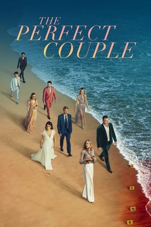 The Perfect Couple [season 1] free