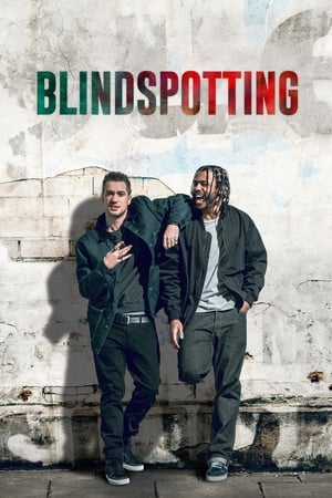 Blindspotting free