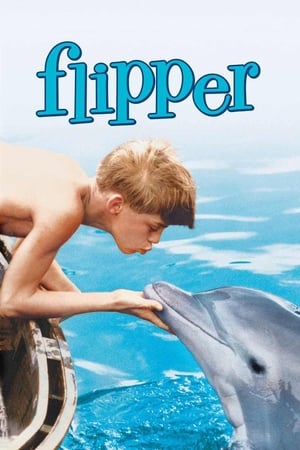 Flipper free