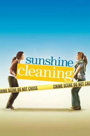 Sunshine Cleaning free