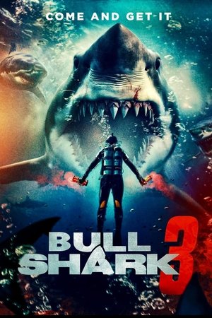 Bull Shark 3 free