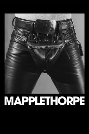 Mapplethorpe free