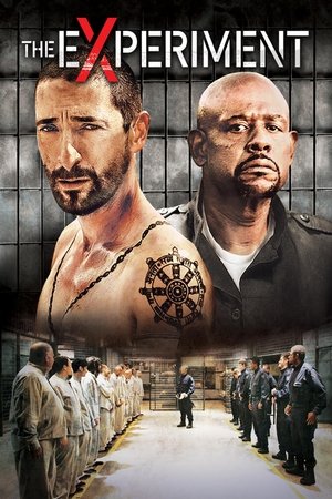 The Experiment free